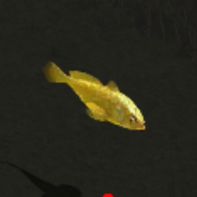 传奇复古私服玩家集结,勇闯幻境天地至尊共攀巅峰